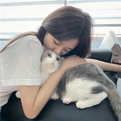 新扎师妹